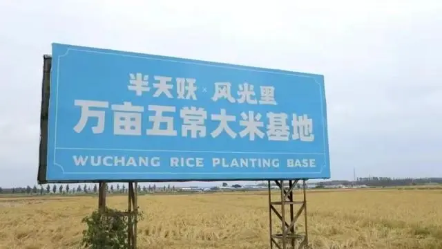 半天妖开启春节不打烊模式,烤鱼美味陪你过大年!